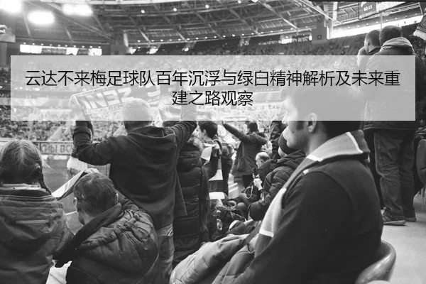云达不来梅足球队百年沉浮与绿白精神解析及未来重建之路观察