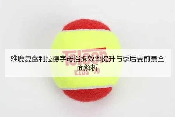 xiong-lu-fu-pan-li-la-de-zi-mu-dang-chai-xiao-lv-ti-sheng-yu-ji-hou-sai-qian-jing-quan-mian-jie-xi-2-165.jpg
